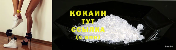 индика Навашино