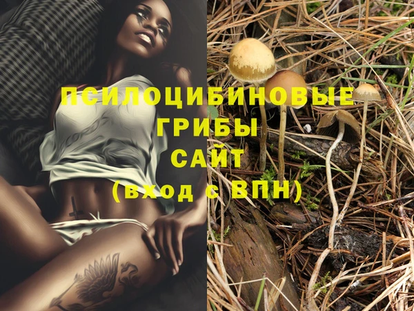 индика Навашино