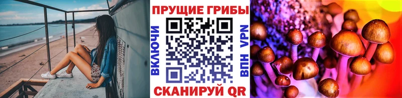 Купить  Саянск  Галлюциногенные грибы Cubensis 